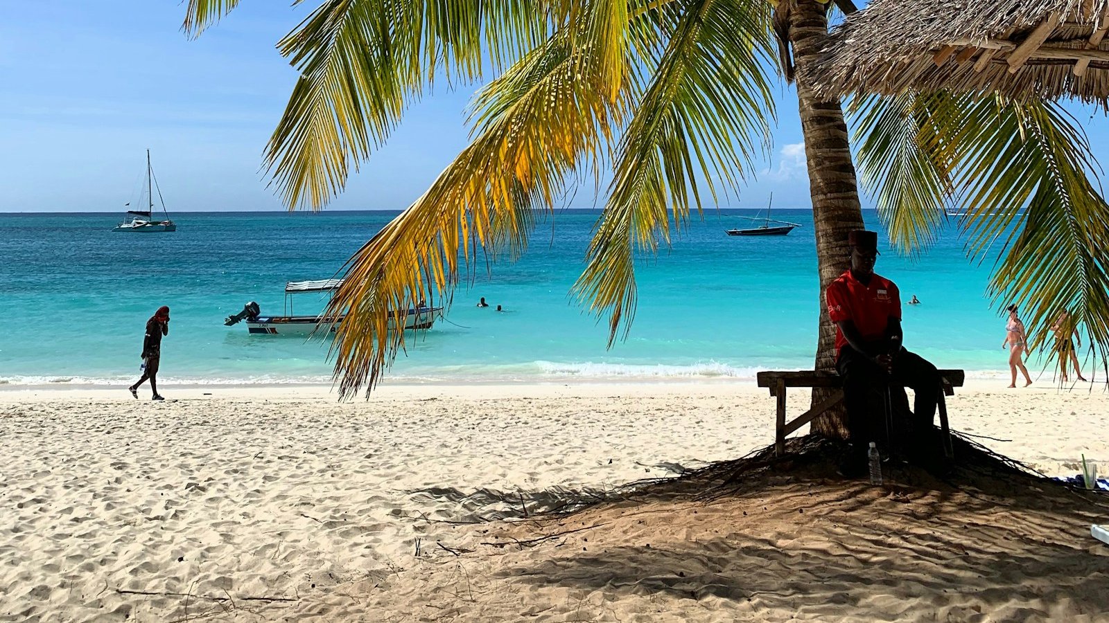 Paysage de Zanzibar en Tanzanie